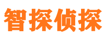 肇庆市私家侦探